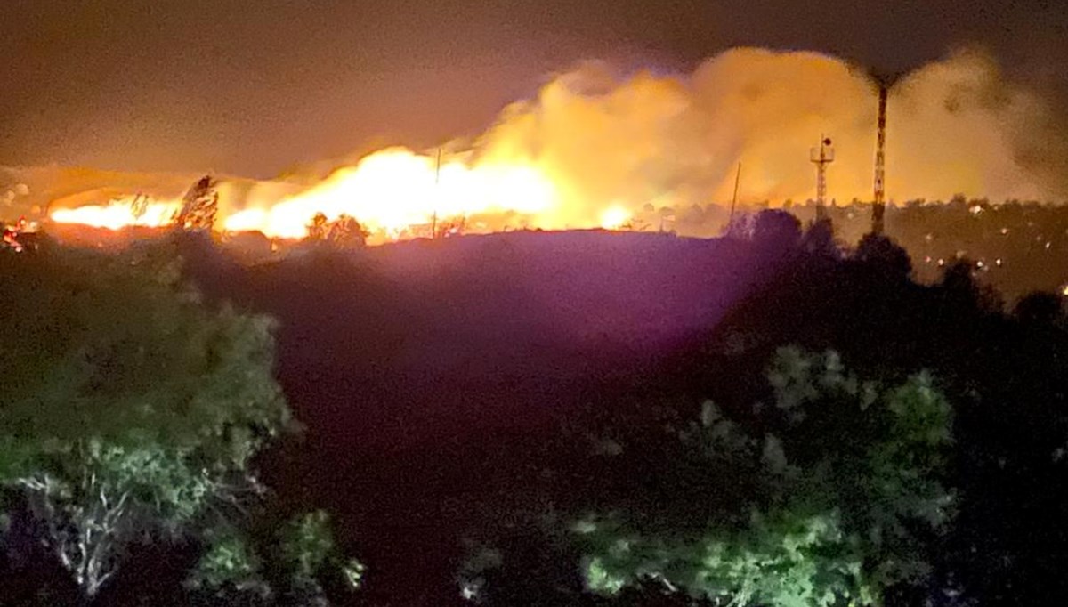 Bingöl, Malatya ve Siirt'te orman yangını