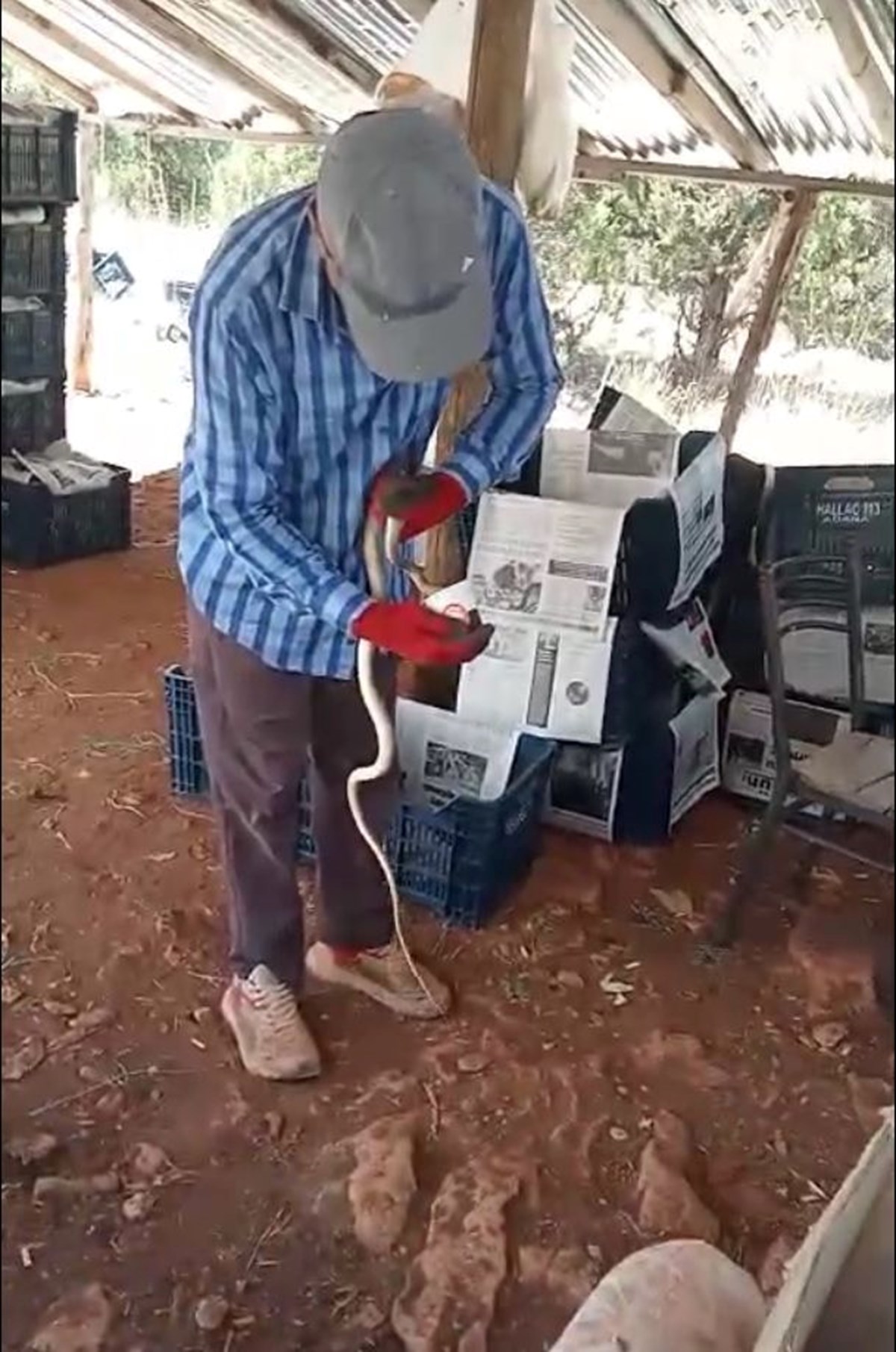 sYg3aftYVUO0ugGxkiIt2w.jpg