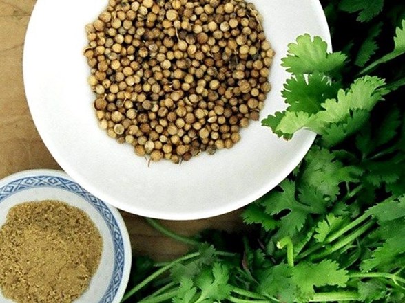 Kisnis Nedir Nasil Kullanilir Kisnisin Faydalari Nelerdir Saglik Haberleri Ntv