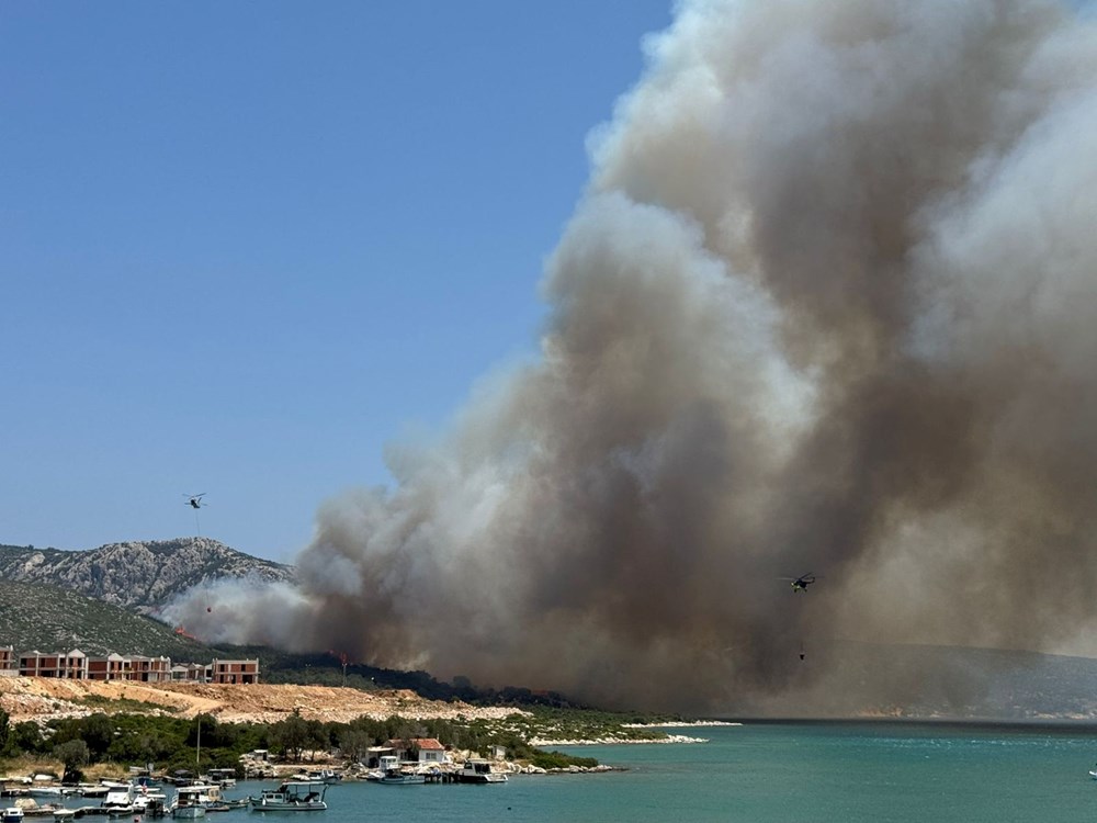 İzmirdə meşə yanğını: Müdaxilə davam edir - 8