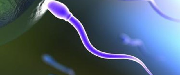 21 yıl önce dondurulan spermden bebek