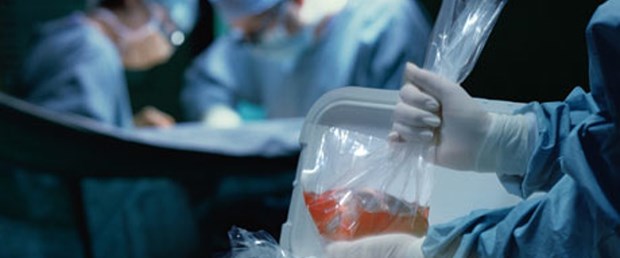 Human-organ-transplant--008.jpg