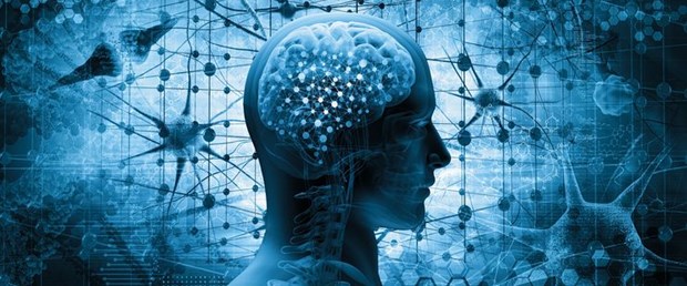 iStock-667379906 (2).jpg