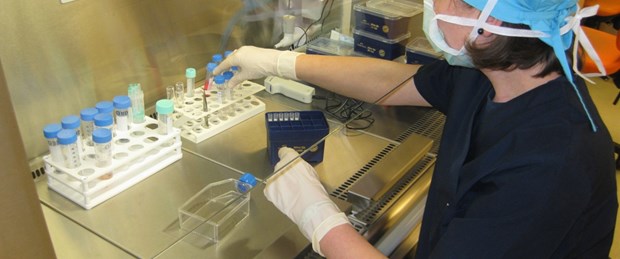 Antibiyotiğe dayanıklı belsoğukluğu bakterisi