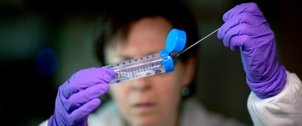 Antibiyotiklere dirençli süper bakterilerin.jpg