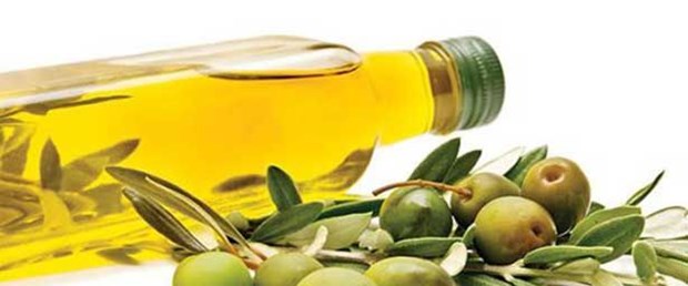 zeytin.jpg