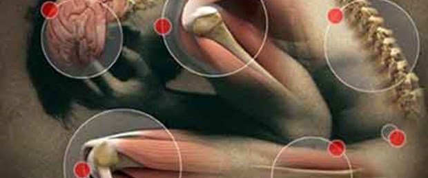 Böcek ilacı parkinson riskini artırıyor