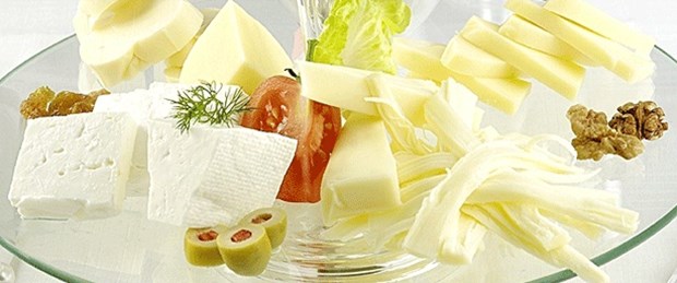 Brusella erkekte kısırlık yapıyor