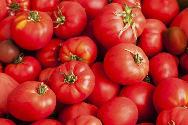 Buzdolabına konmaması gereken 11 besin