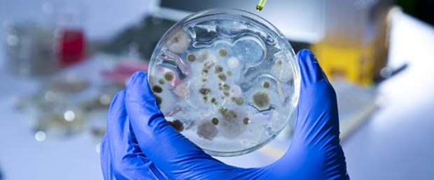 Dünya Bankası'ndan Ebola fonu