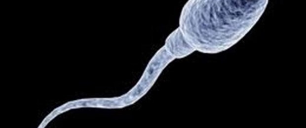 Fazla yağ ve spor sperm düşmanı!