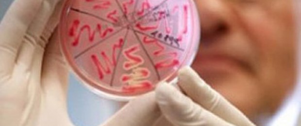 Hastaneler, MRSA bakterisini besleyip yayıyor
