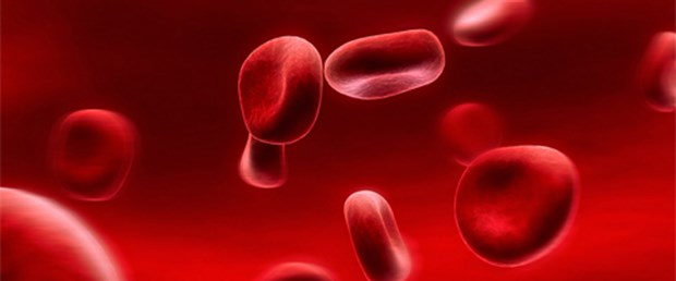 Hematologlar İstanbul’da buluşacak