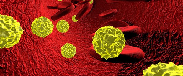 Hepatit C nasıl bulaşır, kimler risk altında.jpg