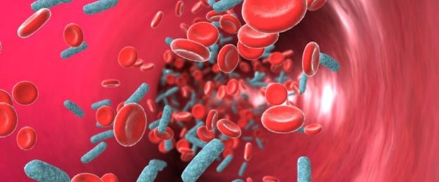 Sepsis hayati risk yaratıyor.jpg