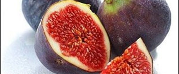 Hücreler incirle yenileniyor