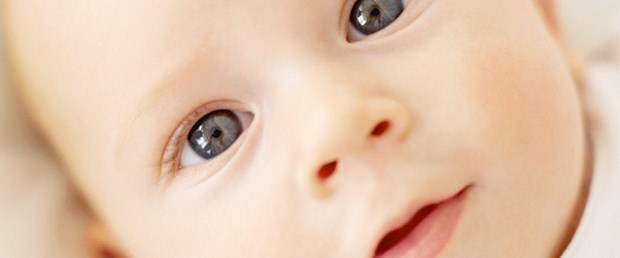 İki anneli bir babalı bebekler geliyor