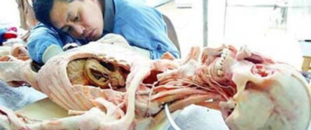 Kadavra sorununa kampanya çözümü