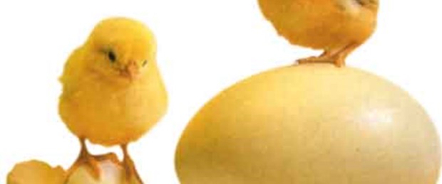 Kahvaltıda yumurta yiyen formda kalıyor
