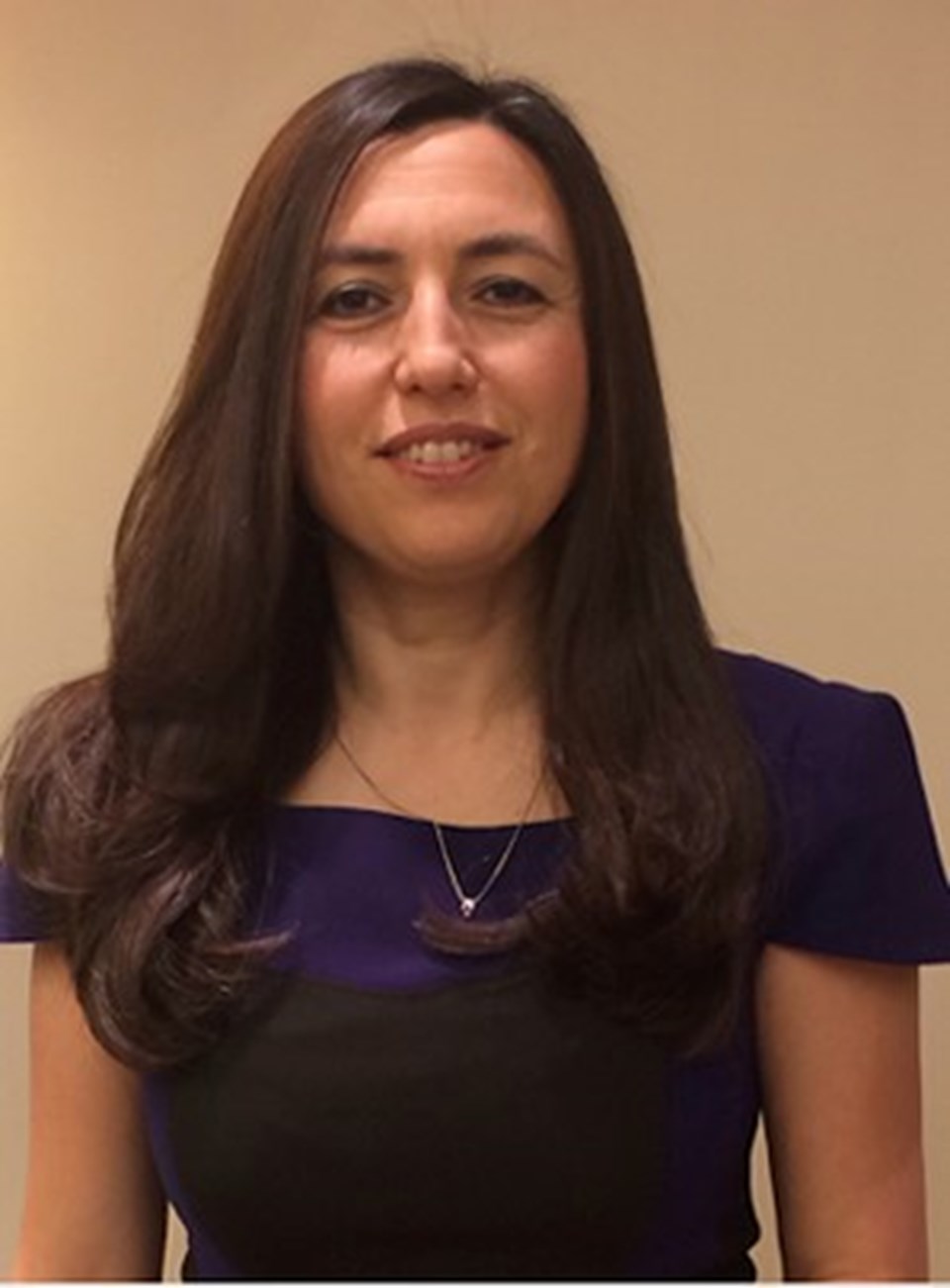 Prof. Dr. Özlem Er