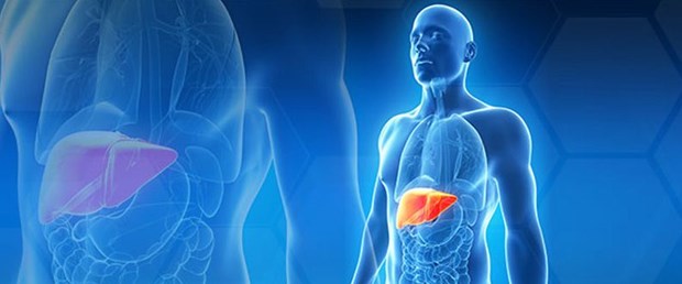 karaciger-transplantasyonu-1.jpg