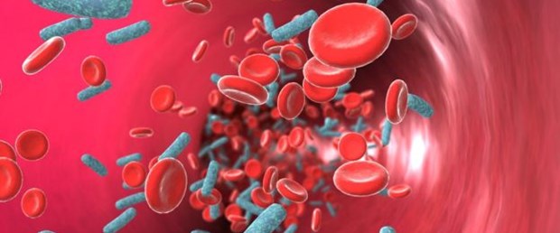 Küresel Sepsis Birliğinden acil eylem çağrısı.jpg