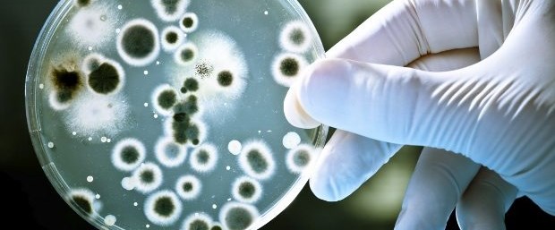 Parkinson hastalığının nedeni bağırsak florası mı.jpg
