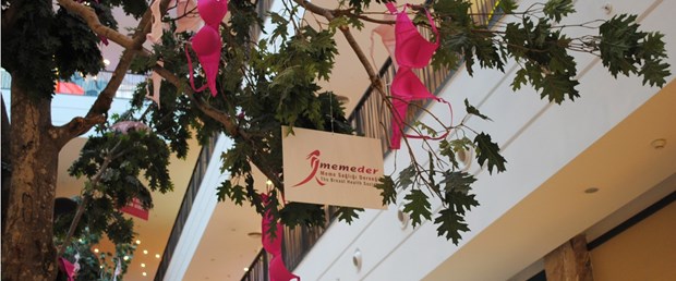 'Pembe Sütyen Ağacı', kansere karşı