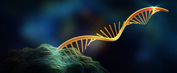 rna-slide.jpg