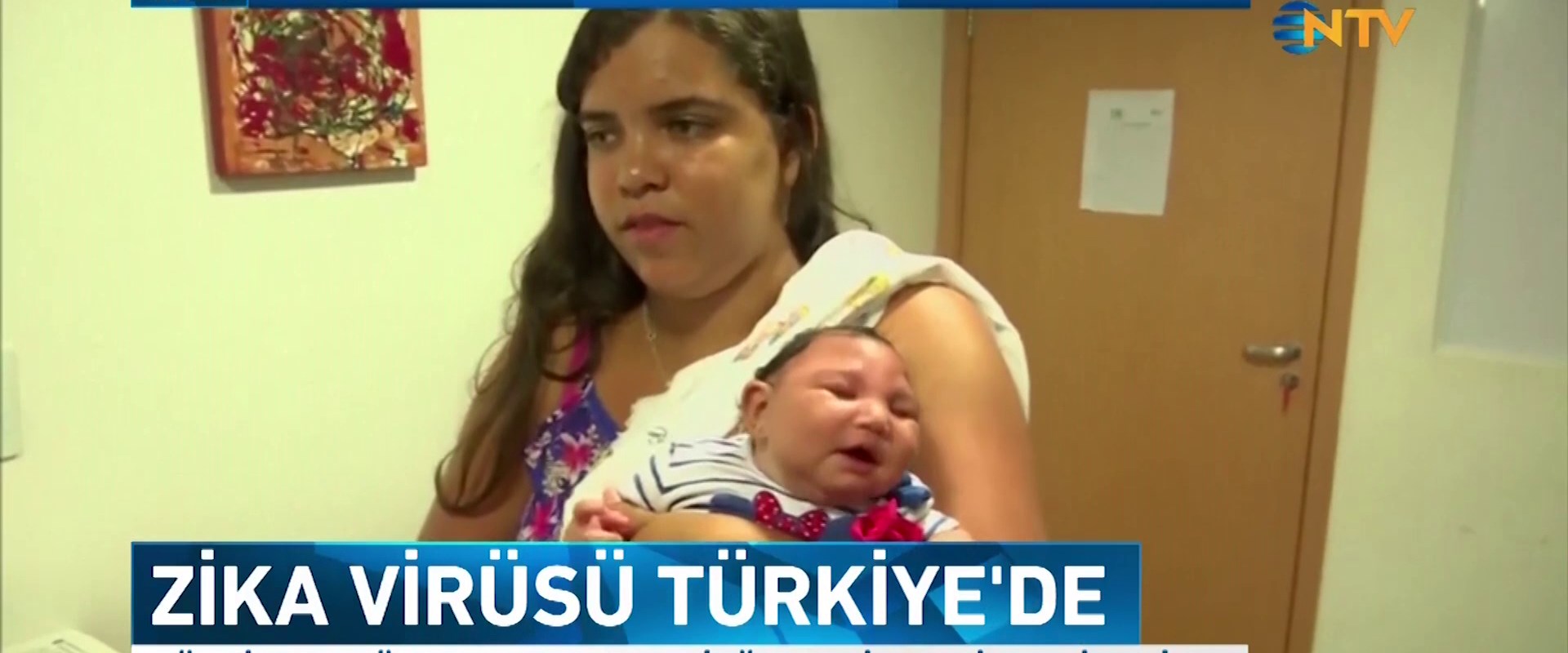 Картинки по запросу Zika virüsü