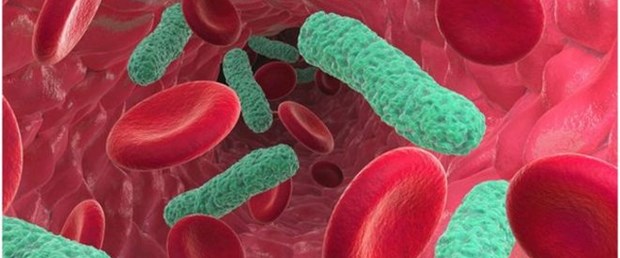 _77063561_c0115556-bacterial_blood_in.jpg