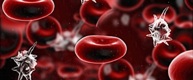 RSF-Blog-Image-Sepsis-Visual-1080x680.jpg