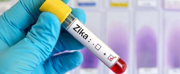 Singapur’da Zika virüsü için kırmızı alarm.jpg