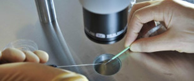 Sperm bağışı yasasına ayar