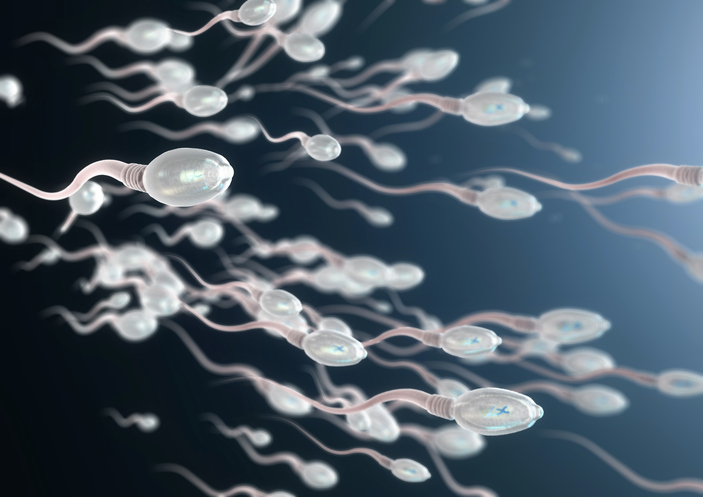 SPERM YAPISINI NELER BOZUYOR?