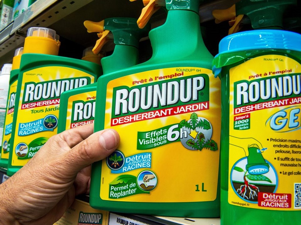 Roundup ilacı, "kansere sebep olan kimyasallar" listesine alındı.