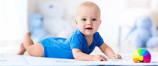 iStock-648239902.jpg