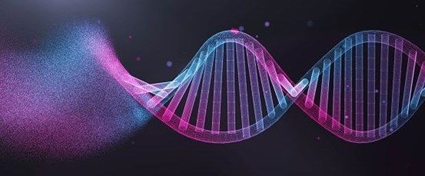 1. DNA'daki hasar birikiyor