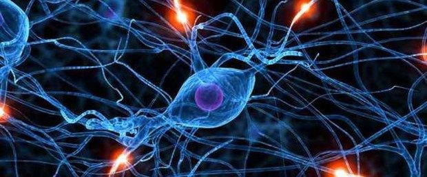 7. Hücreler zombiye dönüşüyor