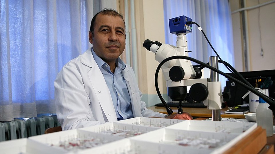 Doç. Dr. Sinan Anlaş
