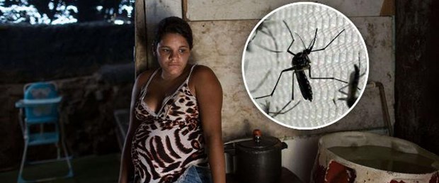 zika virüs cinsel ilişki030216.jpg