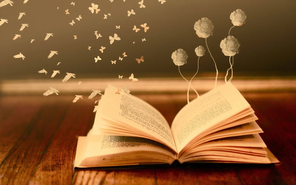 kitap ile ilgili görsel sonucu