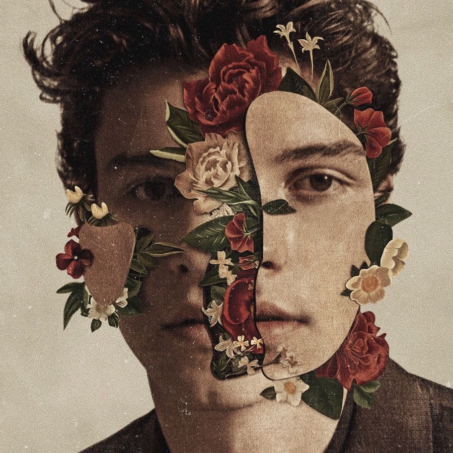 23. Shawn Mendes, 'Shawn Mendes'