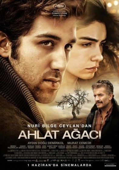 Ahlat Ağacı - 231.046