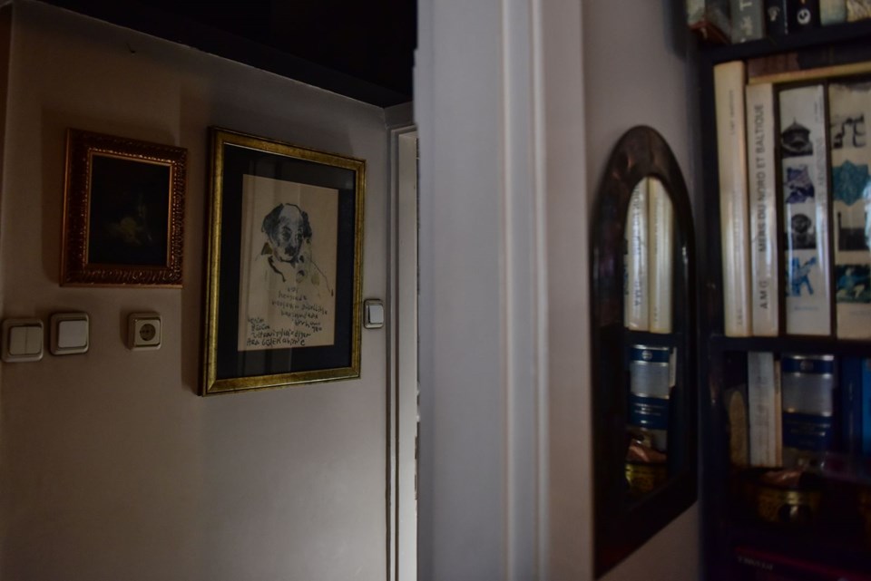 Ara Guler'in evi, Ara Guler