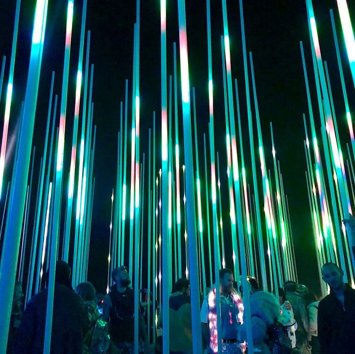 Burning Man Festivali, Nevada Çölü, Burning Man 2018