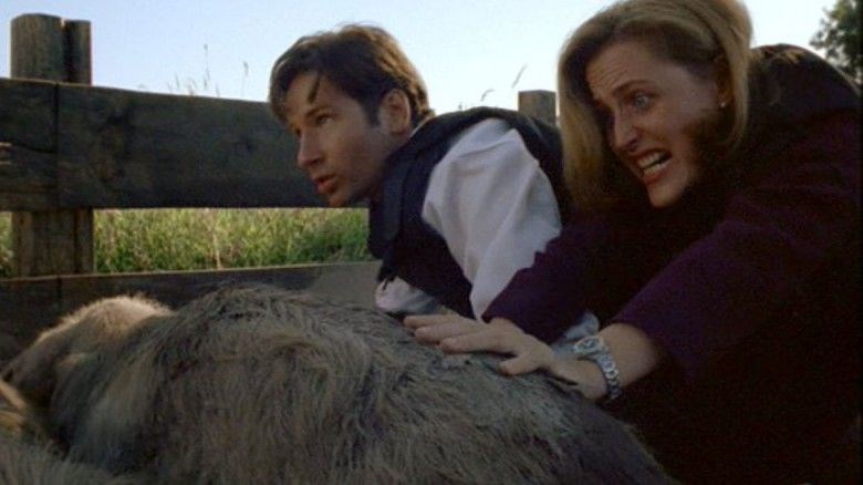 The X-Files