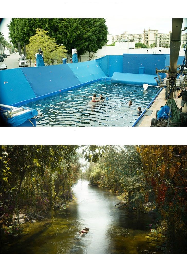 The Jungle Book