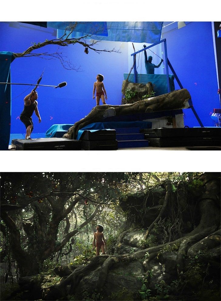 The Jungle Book