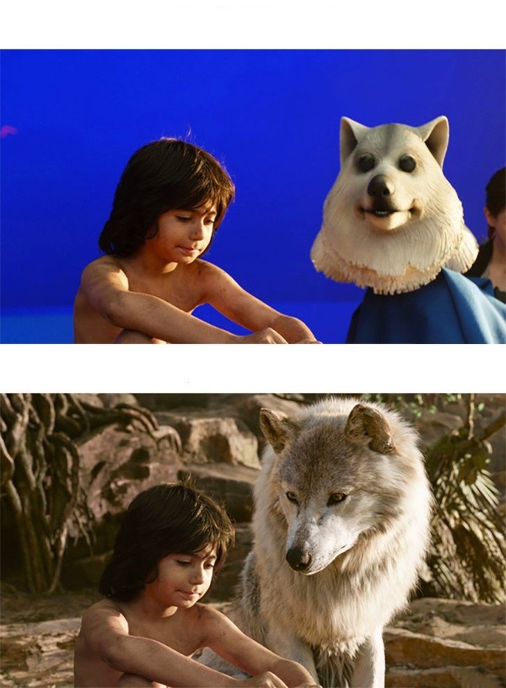The Jungle Book